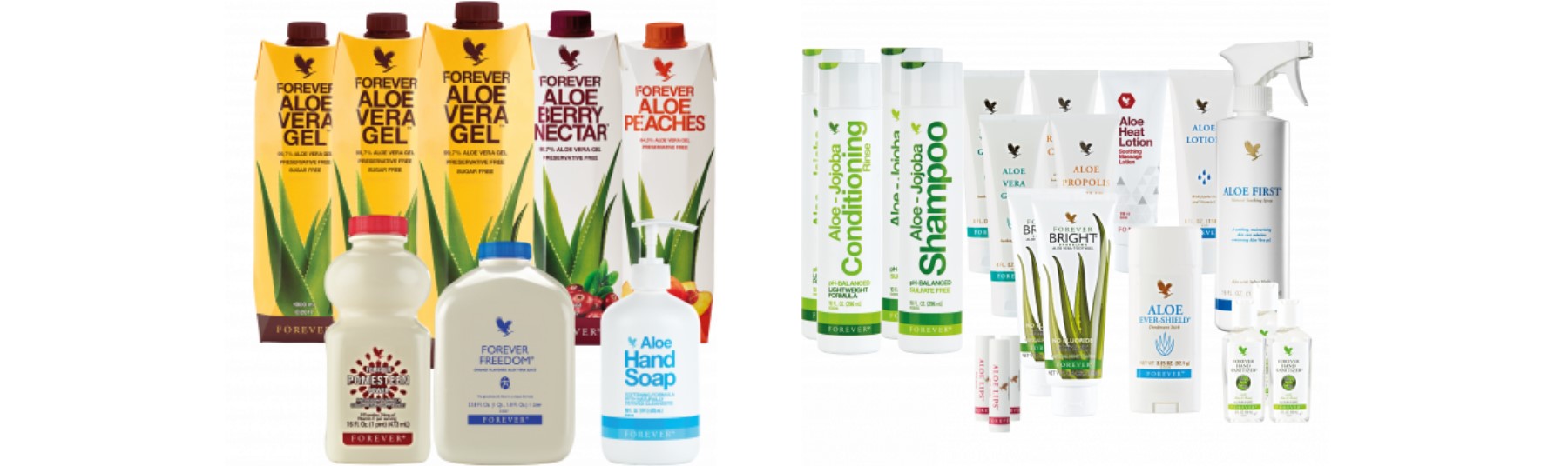 Forever Living Produkte Überblick